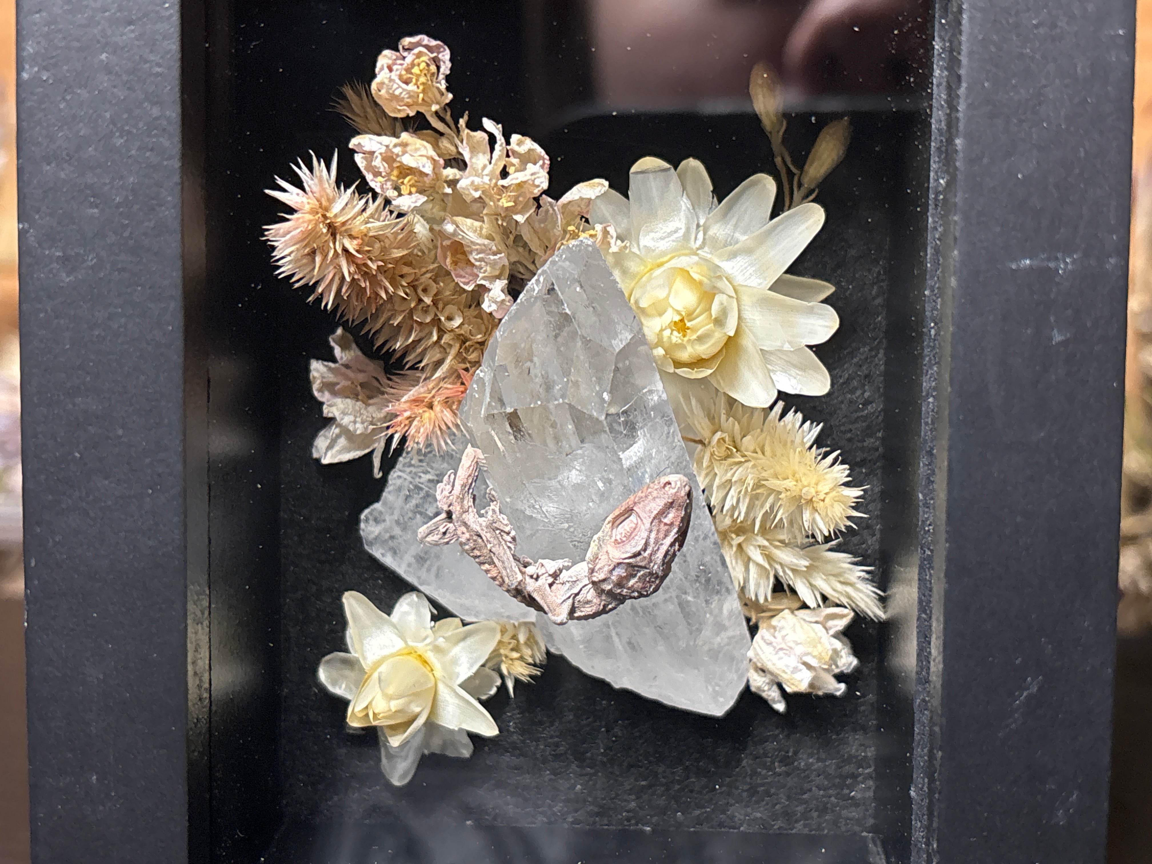 baby crested gecko shrine frame – lichen shrines