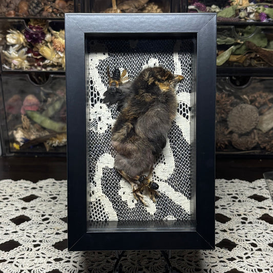 chick & resin bees frame