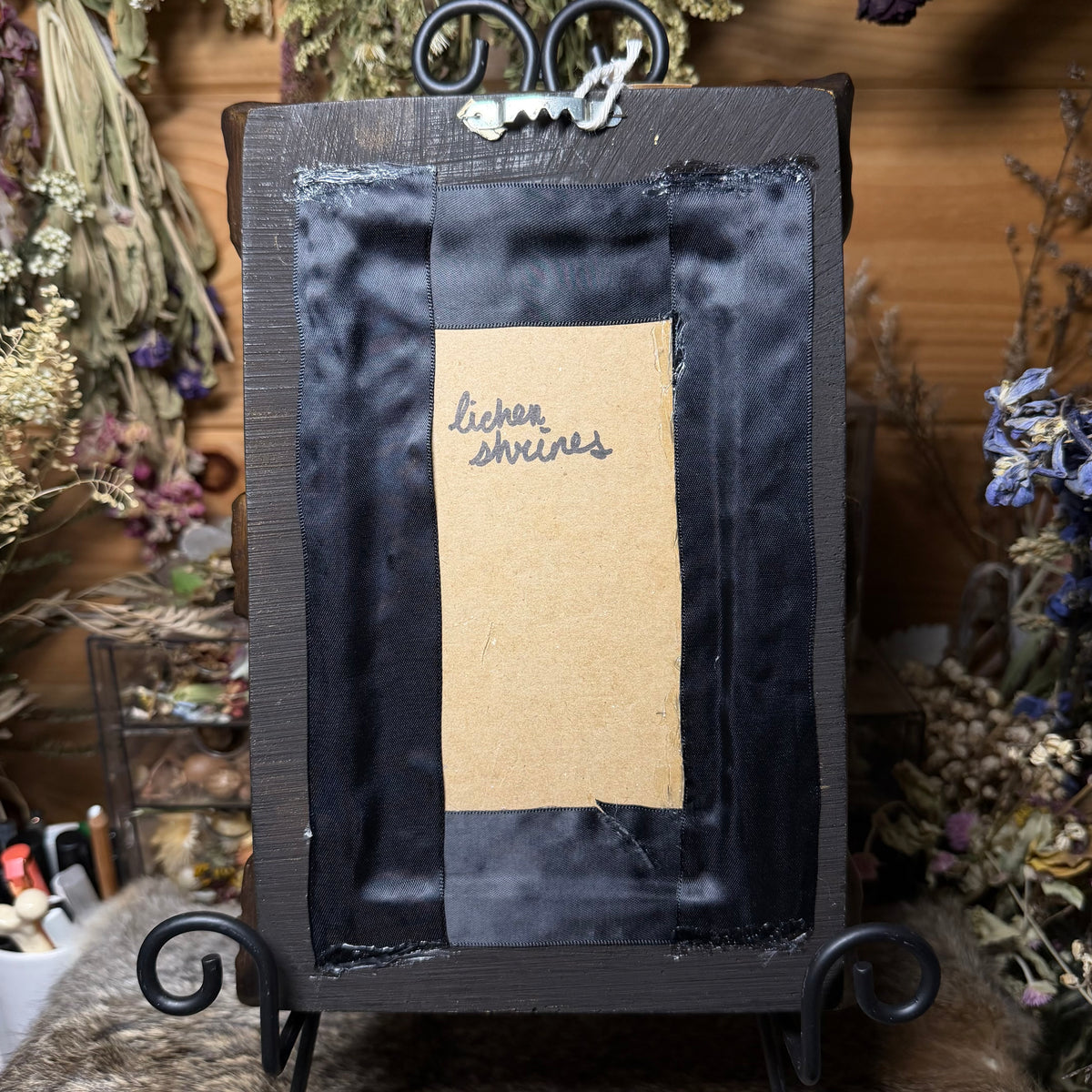 skunk skull vintage frame
