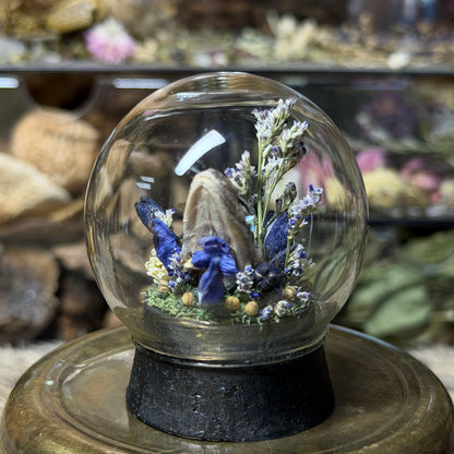 mummified gecko head globe cloche