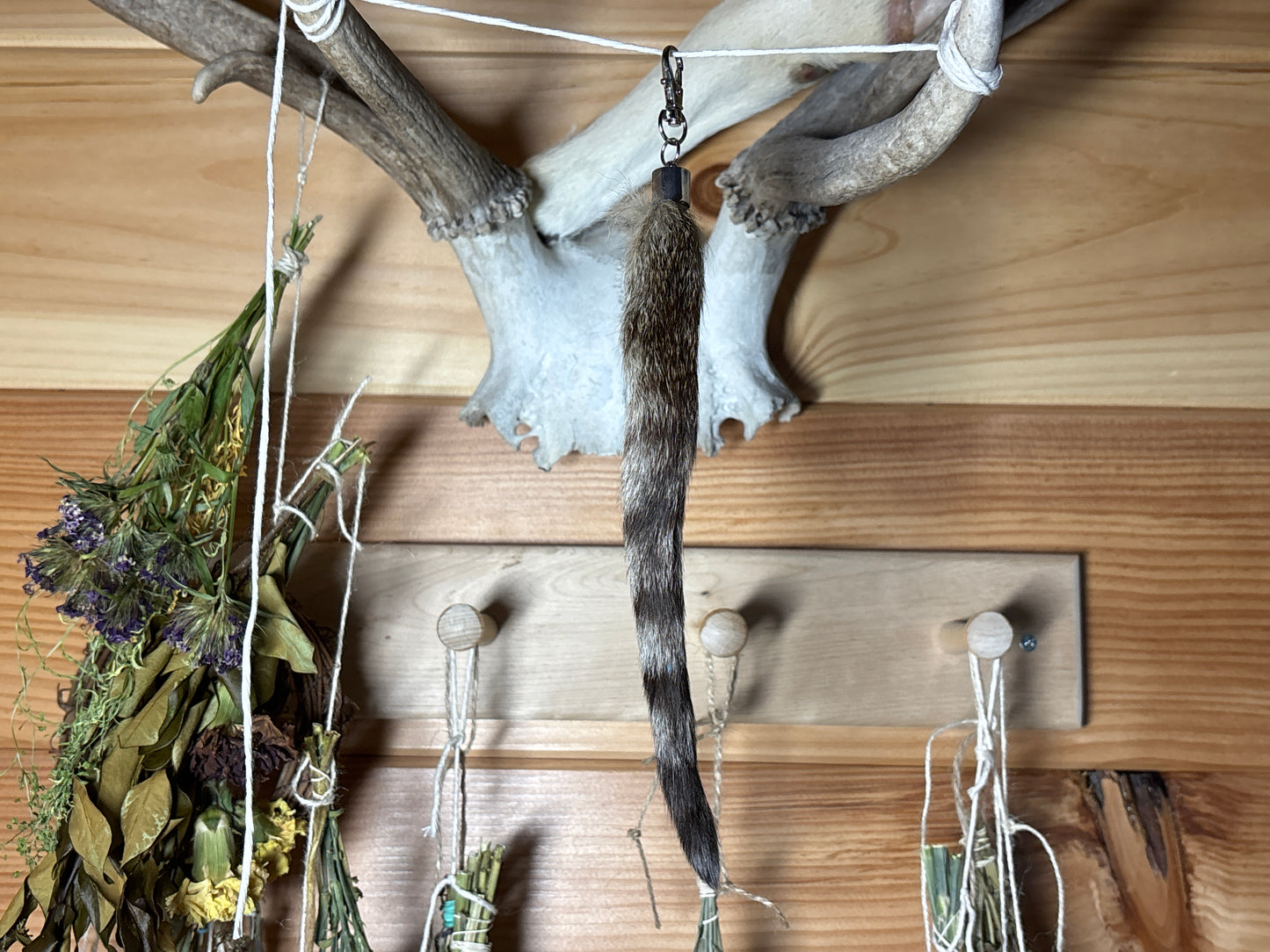 feral cat tail keychains